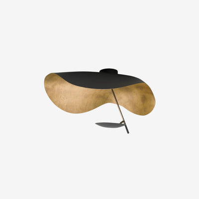 Canopy Ceiling Light