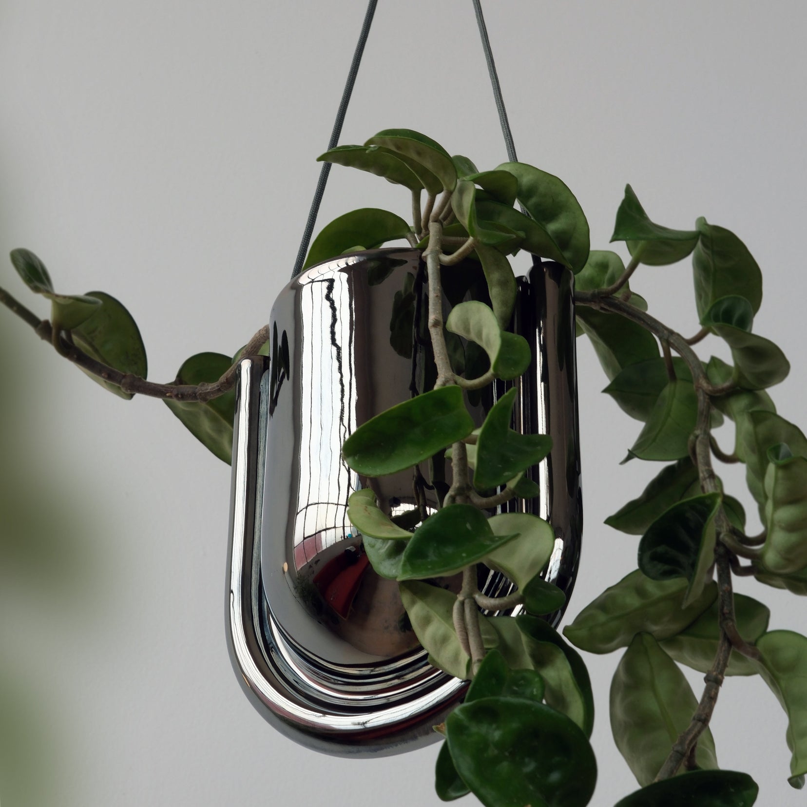 Arc Planter