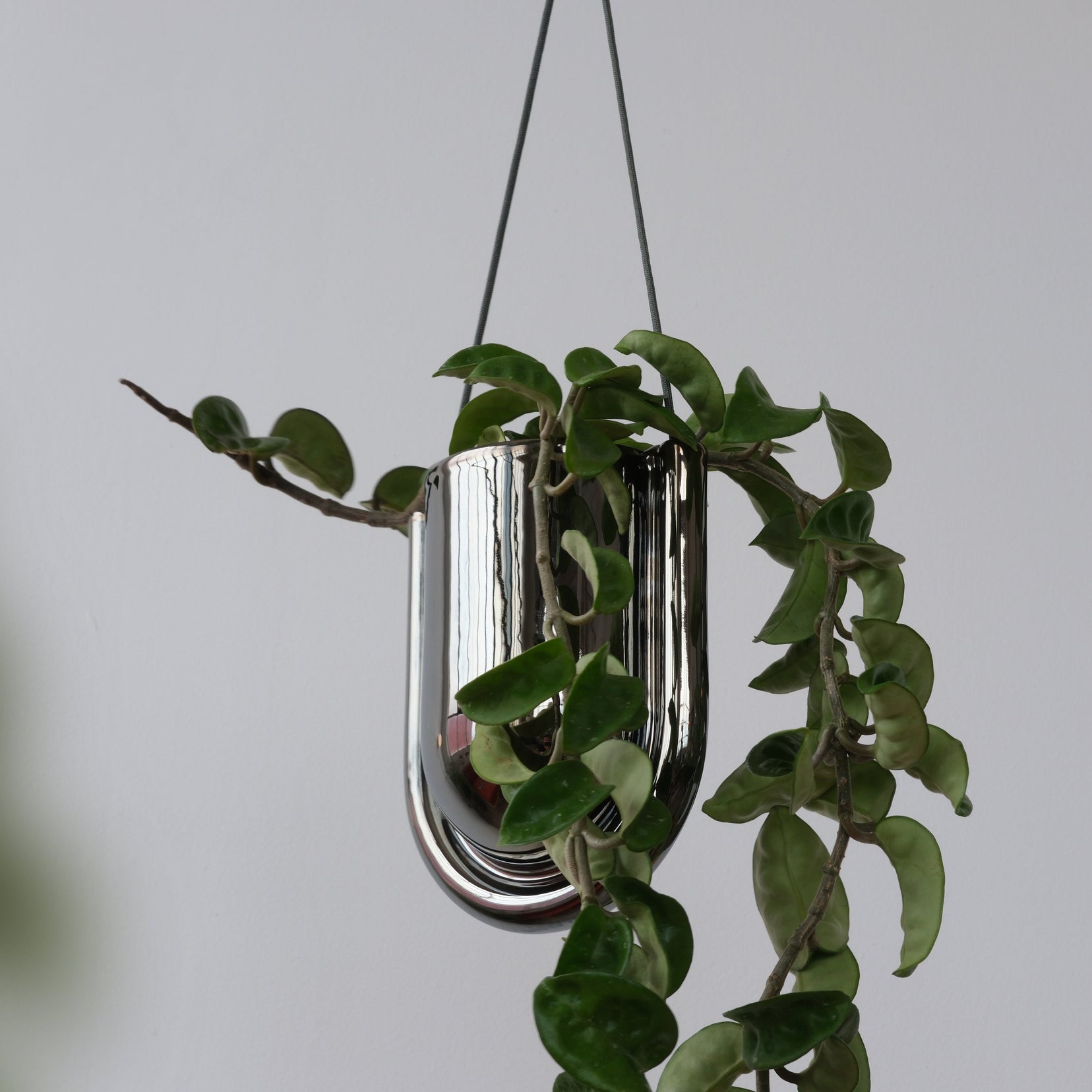 Arc Planter