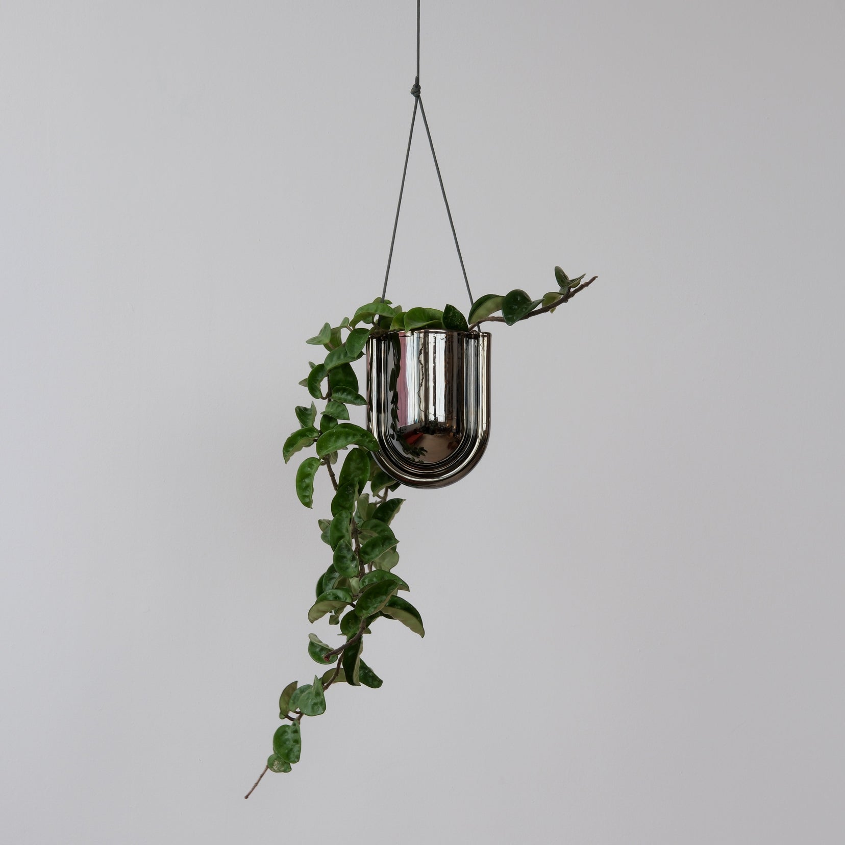 Arc Planter