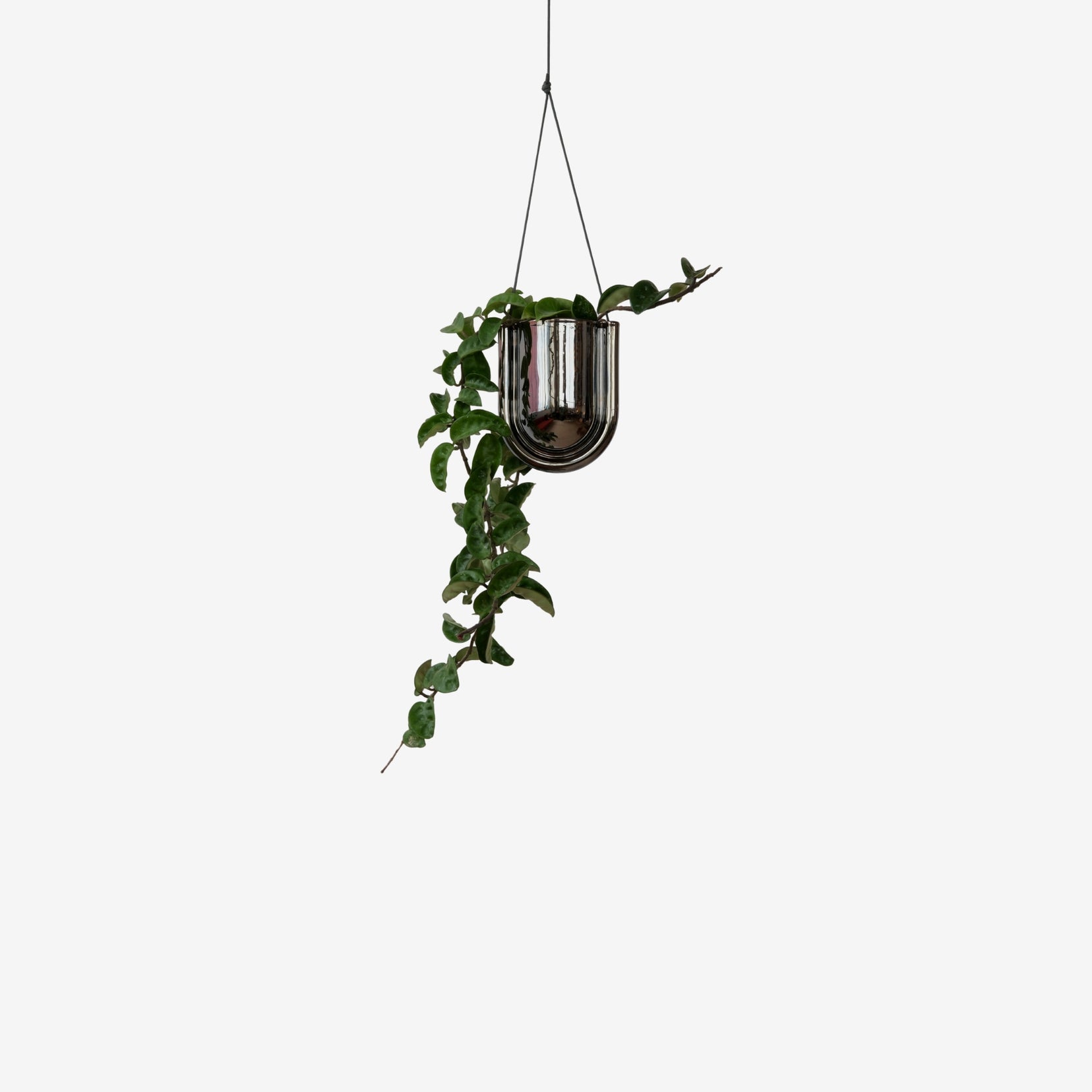 Arc Planter