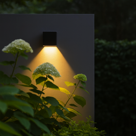 Dune outdoor wall light fixture from Love Hohm illuminating green plants against a dark background