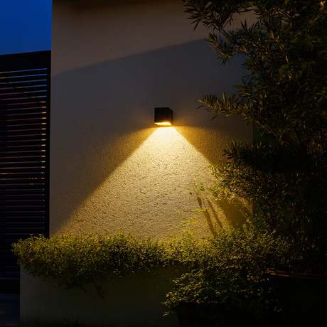 Dune outdoor wall light by Love Hohm on a building exterior with illuminated wall and plants.